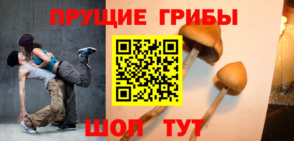 Галлюциногенные грибы мицелий Миасс