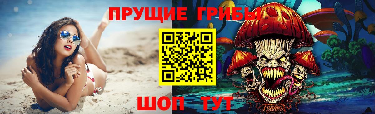 Галлюциногенные грибы Psilocybine cubensis  Вход с VPN  Галлюциногенные грибы мицелий  Миасс 
